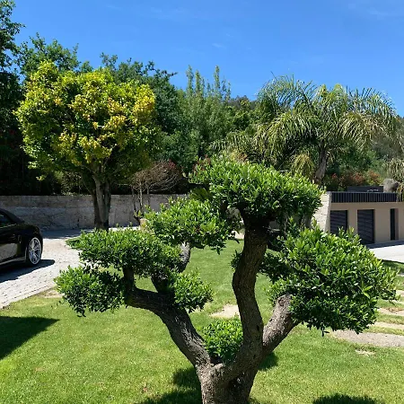 Quinta De Santa Ana, Em Vizela *