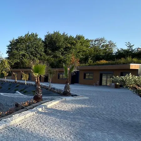 Apartamento Quinta De Santa Ana, Em Vizela *