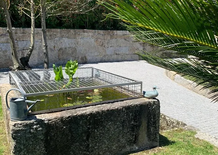 Quinta De Santa Ana, Em Vizela 아파트 *