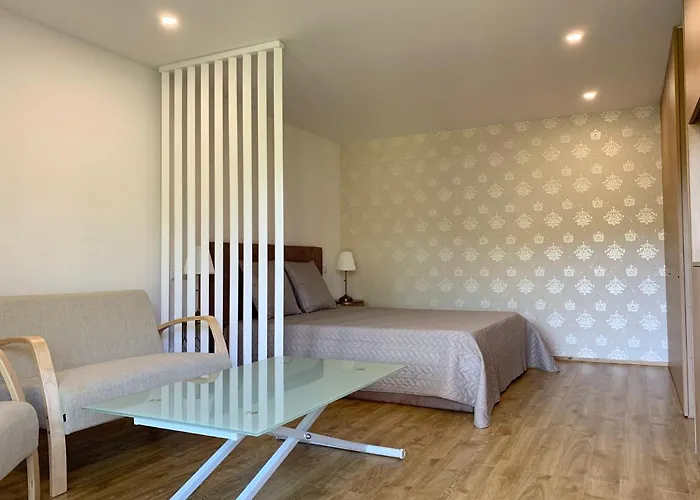 Apartment Quinta De Santa Ana, Em Vizela Infias