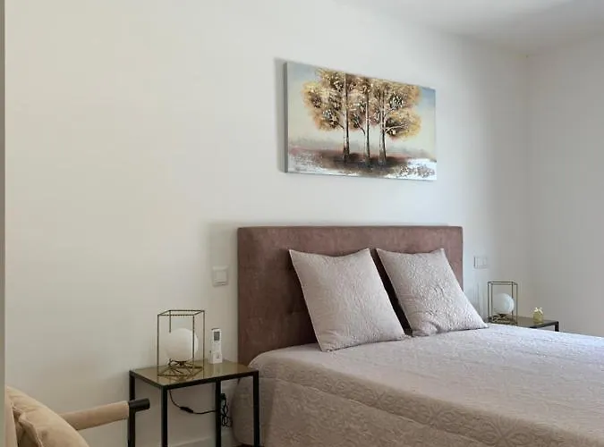 Quinta De Santa Ana, Em Vizela